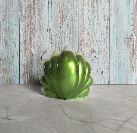 Renard à neuf queues Vert/Blanc